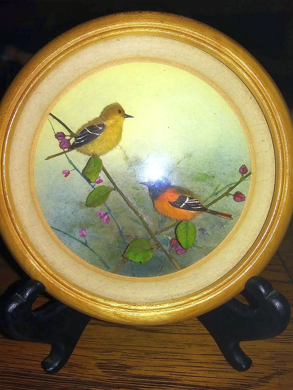 Baltimore Oriels (Version 4) (5-inch)